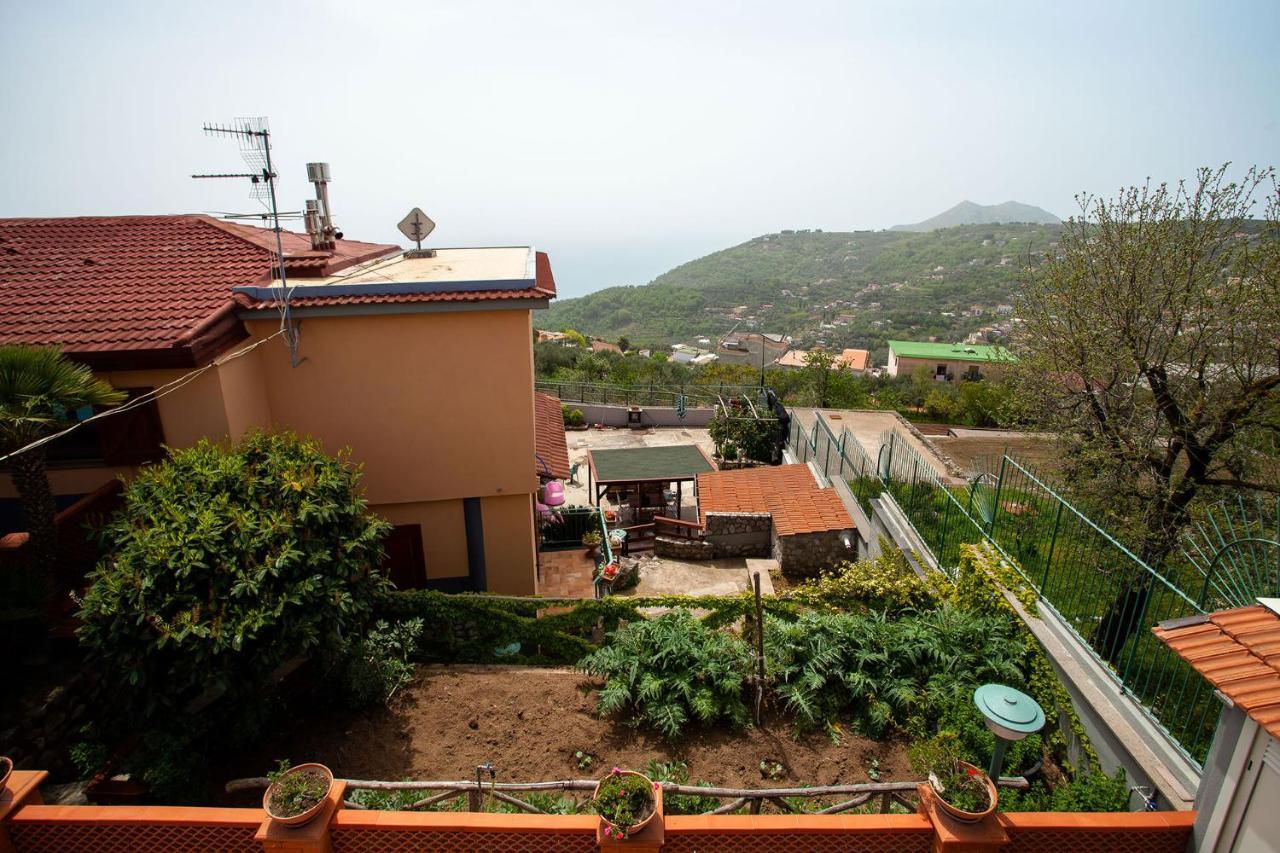 Casa Nicolo Villa Massa Lubrense Eksteriør bilde